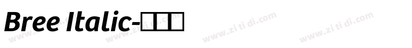Bree Italic字体转换